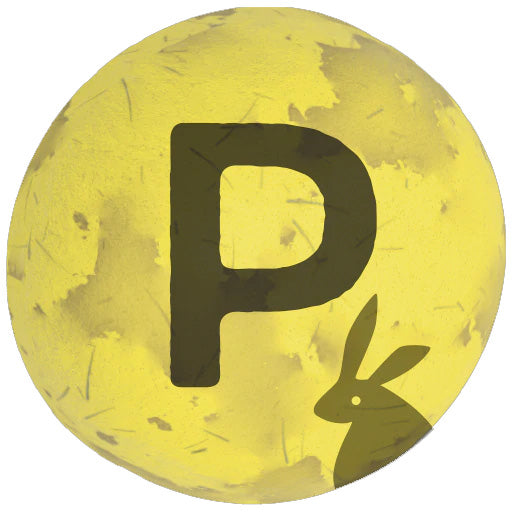 「Poing Pong(ポインポン)」について