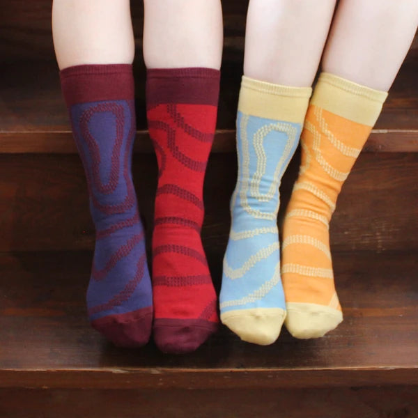 ストーリーソックス【イソップ寓話】：北風と太陽