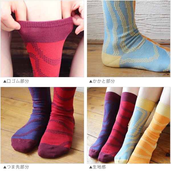 ストーリーソックス【イソップ寓話】：北風と太陽