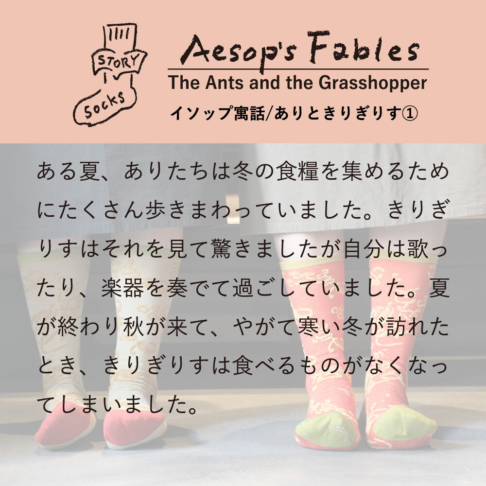 ストーリーソックス【イソップ寓話】：ありときりぎりす