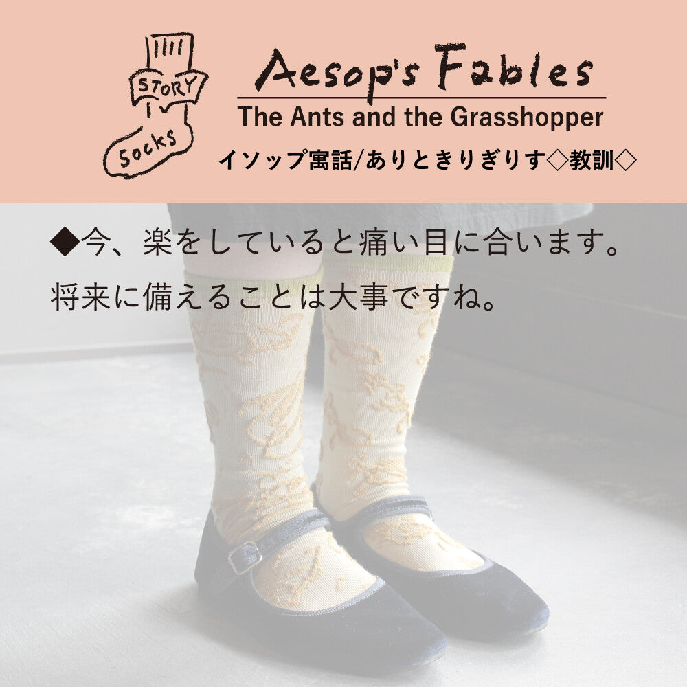 ストーリーソックス【イソップ寓話】：ありときりぎりす