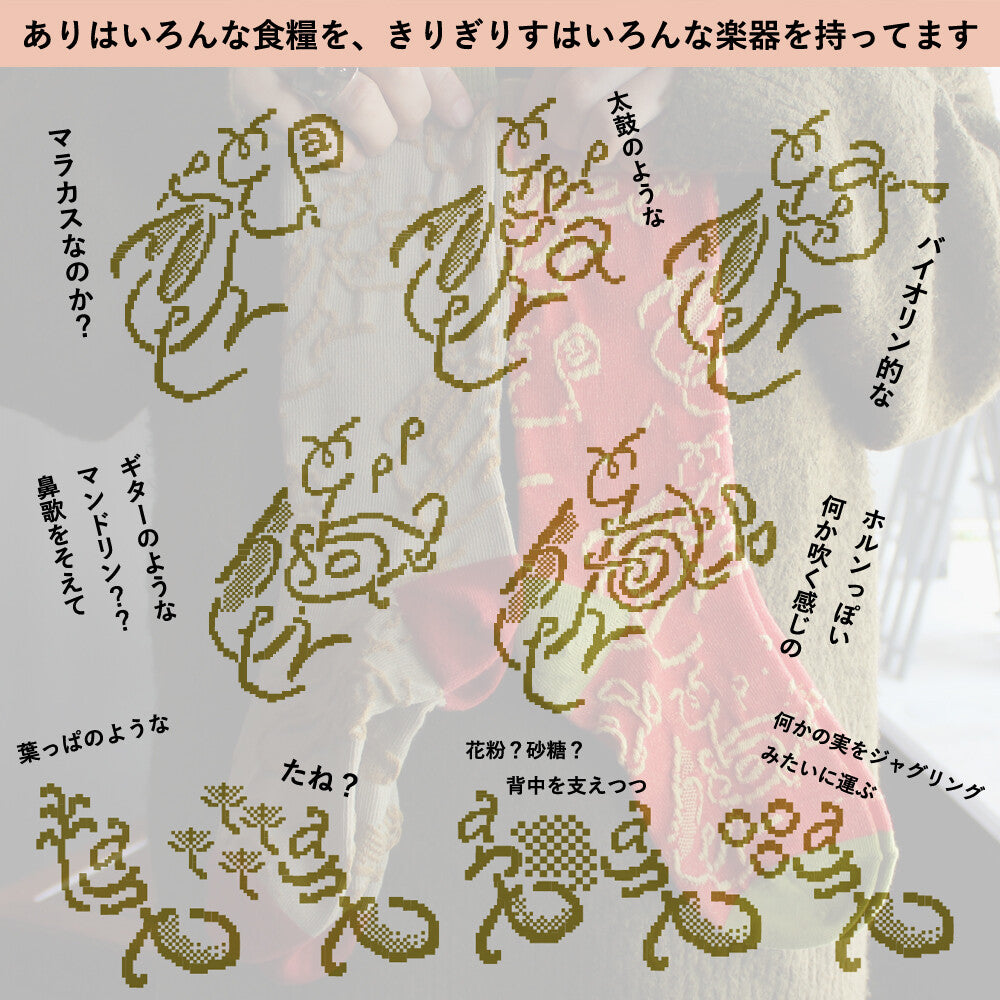 ストーリーソックス【イソップ寓話】：ありときりぎりす